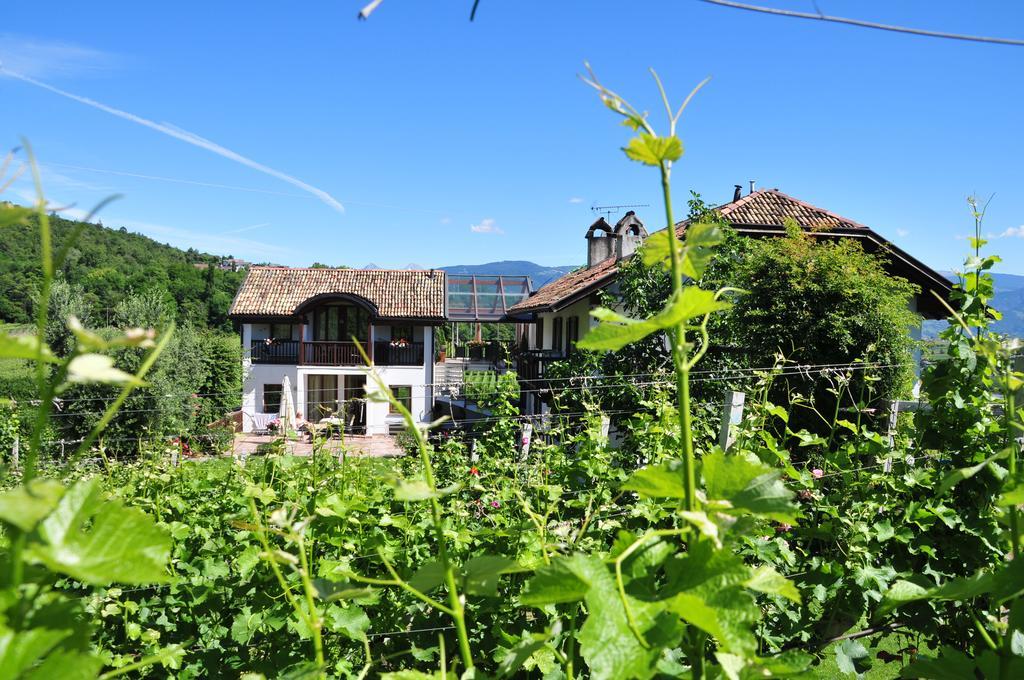 Weingut Weidlhof - Suite & Breakfast - Vacation For Wine Lovers Caldaro Zewnętrze zdjęcie