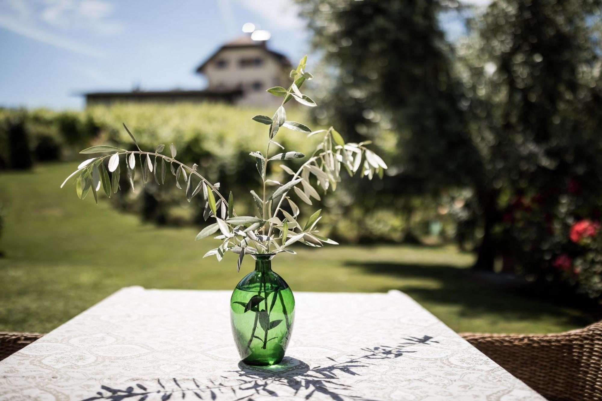 Weingut Weidlhof - Suite & Breakfast - Vacation For Wine Lovers Caldaro Zewnętrze zdjęcie